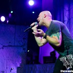 Daughtry