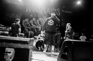 Nick Karp Photo