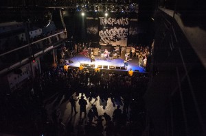 Nick Karp Photo