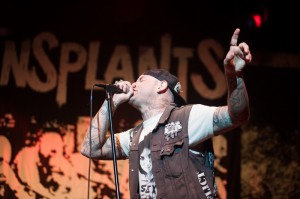 Nick Karp Photo