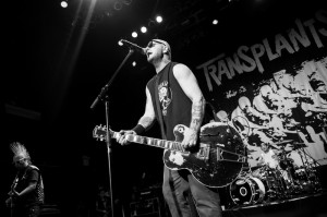 Nick Karp Photo