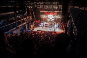 Nick Karp Photo