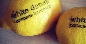 Corsicana Lemonade by White Denim