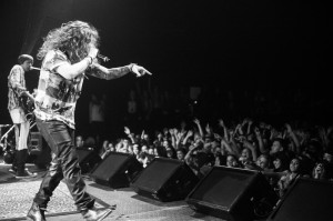 Nick Karp Photo