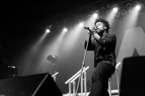 Nick Karp Photo
