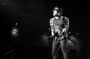 Nick Karp Photo