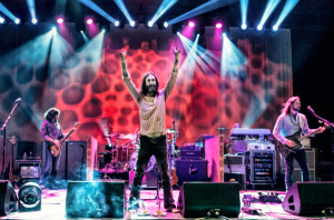 Black Crowes by Dana (distortion) Yavin