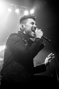 Nick Karp Photo