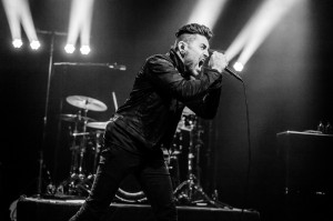Nick Karp Photo