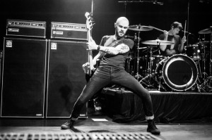 Nick Karp Photo