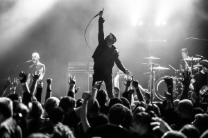 Nick Karp Photo