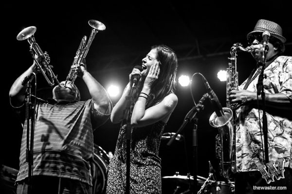Dirty Dozen Brass Band 6.11.16 Wayne Music Festival